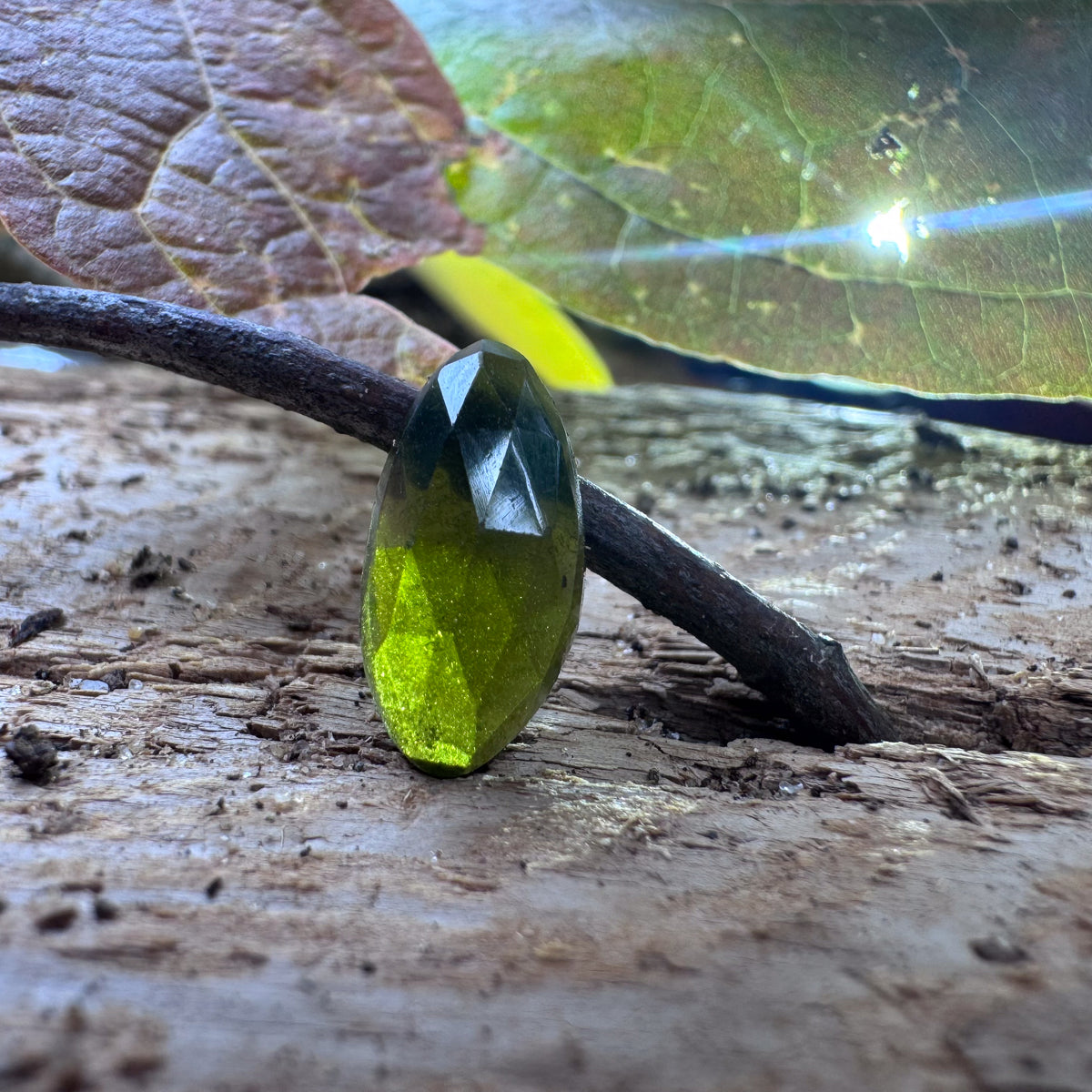 A faceted olive green gemstone standing upright on a textured wooden surface, with a small branch and green leaves in the background.